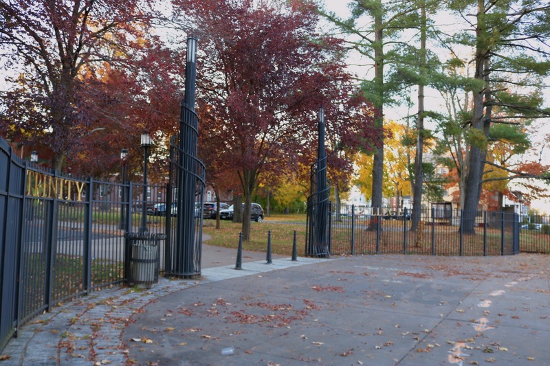 Trinity's Fence Zoom In Shot.jpg